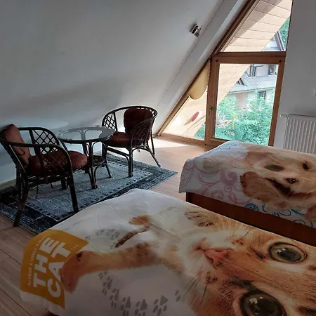 Apartament Cede