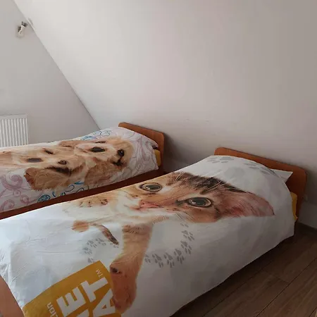 Apartament Cede Zakopane